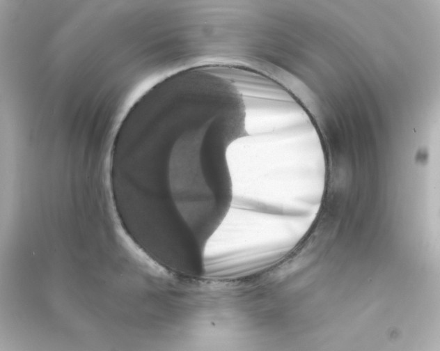 X0000090440958200708102024