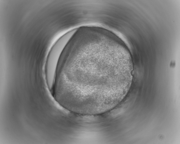 X0000090440959200708102024