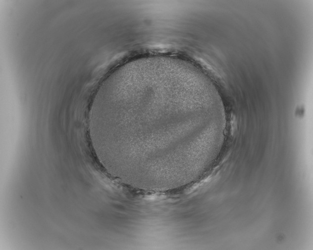 X0000090440961200708102024