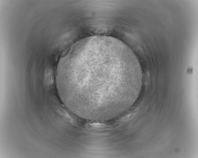 X0000090440962200708102024