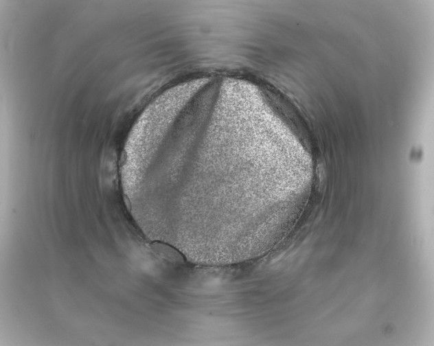 X0000090440963200708102024