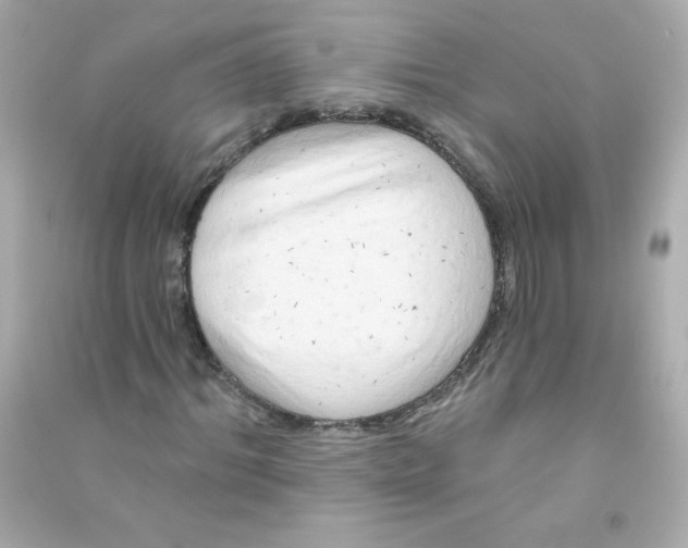 X0000090440964200708102024