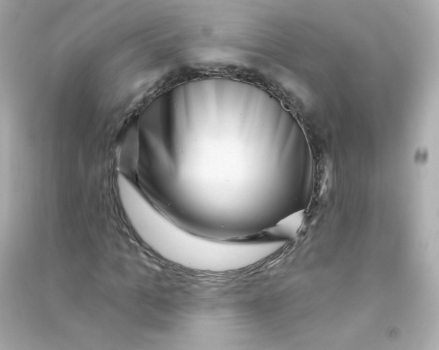 X0000090440965200708102024