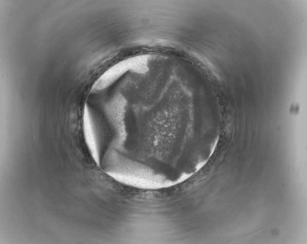 X0000090440966200708102024