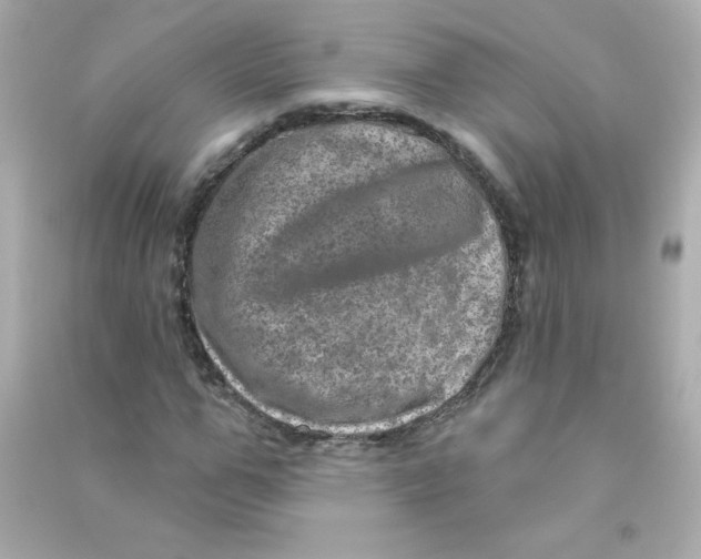 X0000090440967200708102024
