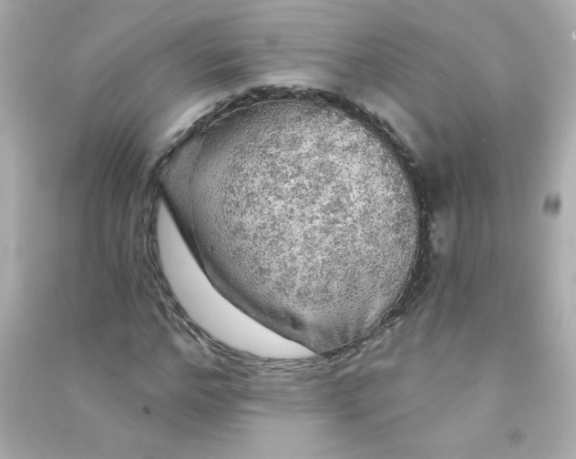 X0000090440968200708102024