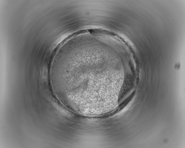 X0000090440969200708102024