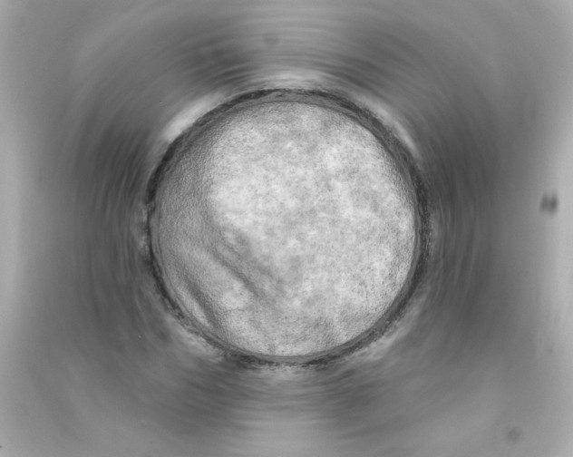 X0000090440970200708102024