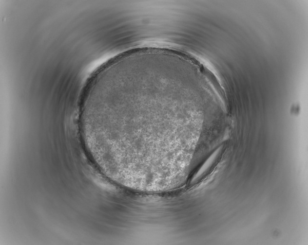 X0000090440971200708102024