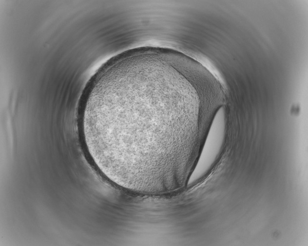 X0000090440972200708102024