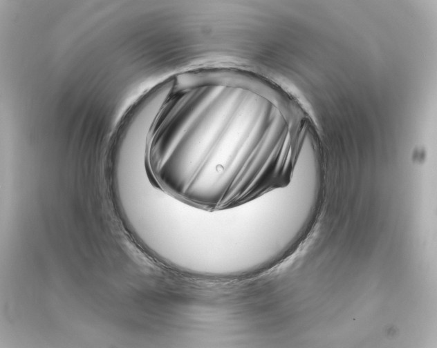 X0000090440973200708102024