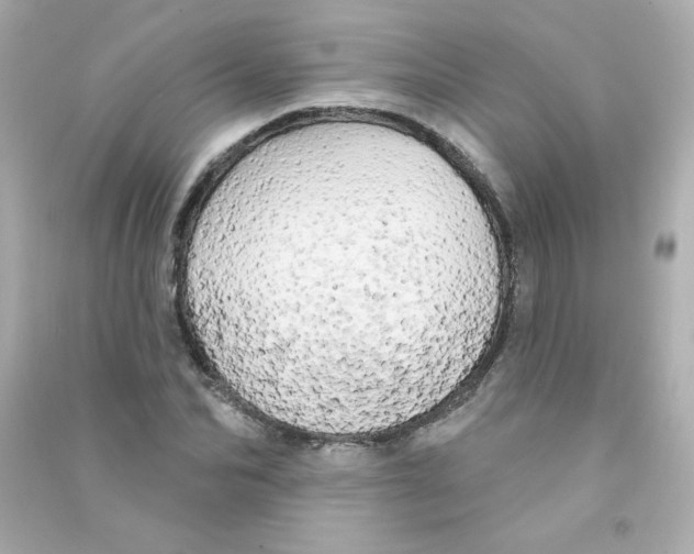 X0000090440974200708102024