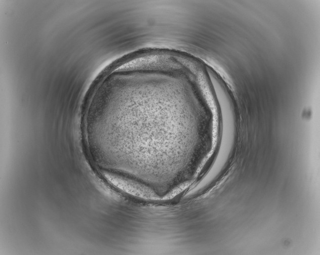 X0000090440976200708102024