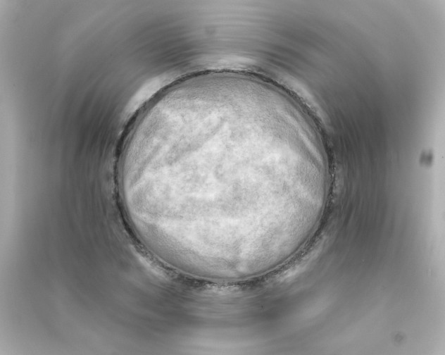 X0000090440978200708102024