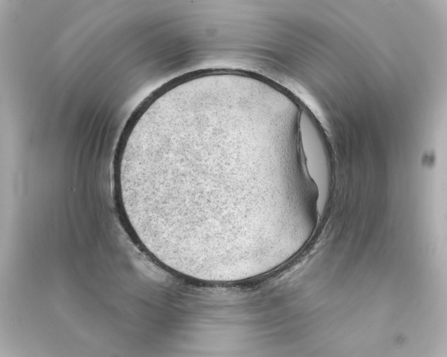 X0000090440980200708102023