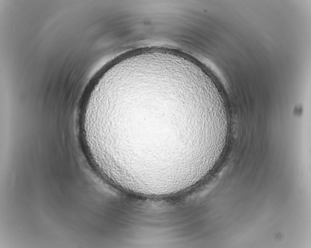 X0000090440983200708102023