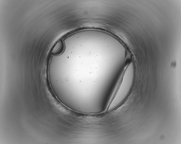 X0000090440984200708102023