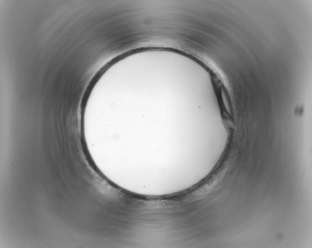 X0000090440988200708102023