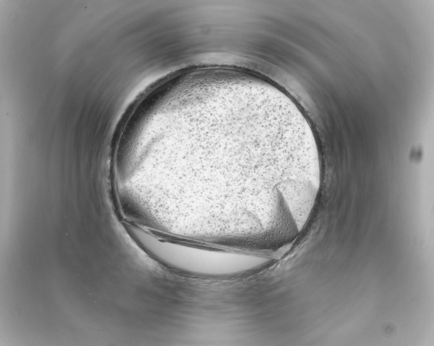 X0000090440992200708102023