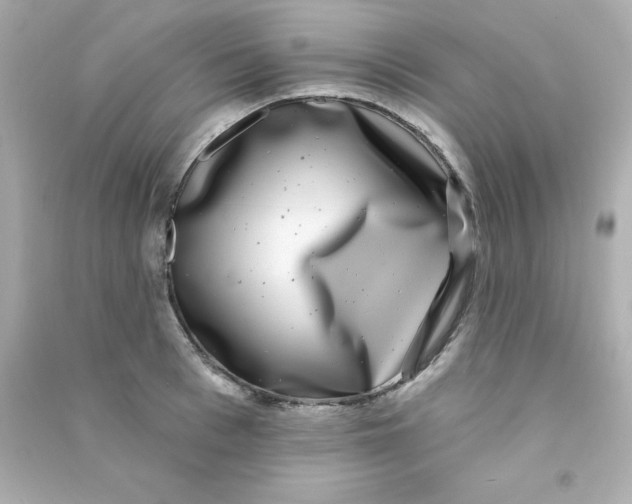 X0000090440993200708102023