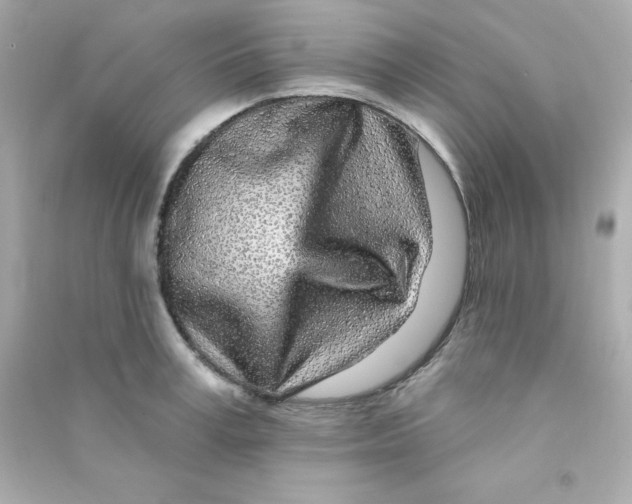 X0000090440995200708102023