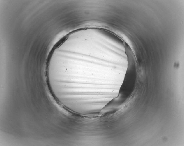 X0000090440997200708102023