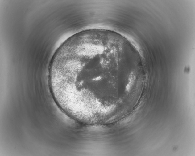X0000090440998200708102023