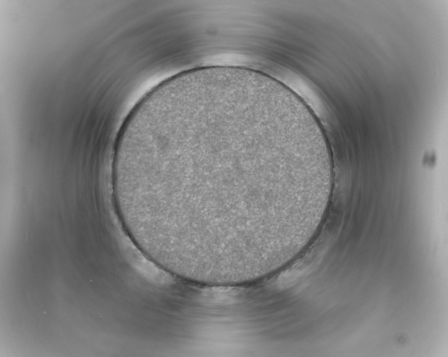 X0000090441000200708102023