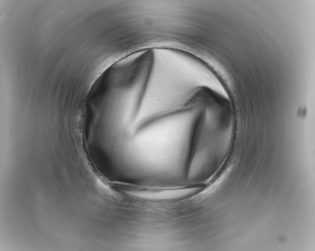 X0000090441001200708102023