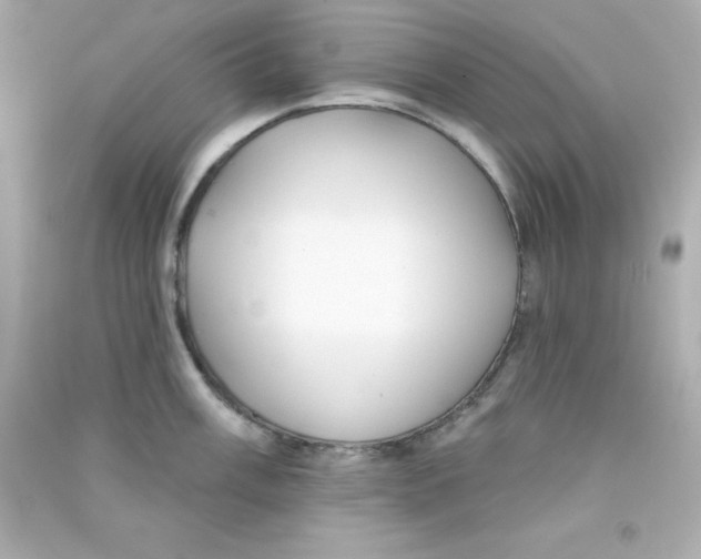 X0000090441003200708102023