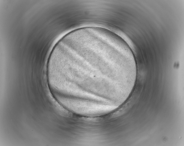 X0000090441004200708102023
