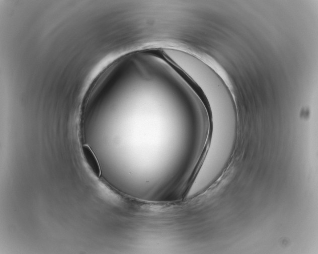 X0000090441005200708102023