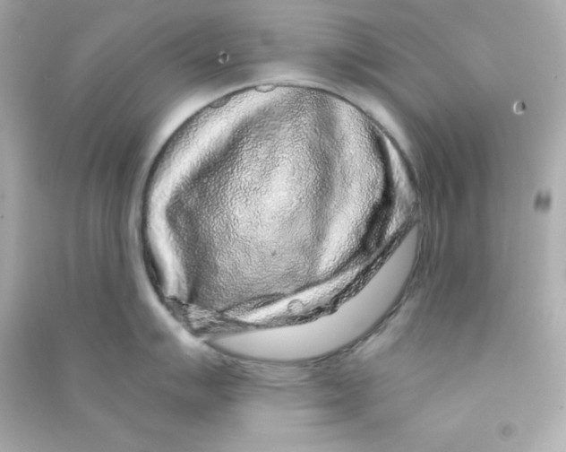 X0000090441007200708102023