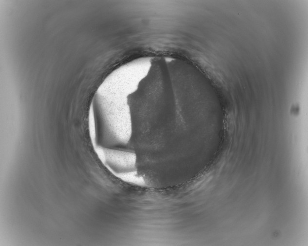 X0000090441009200708102022