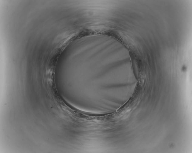 X0000090441010200708102022