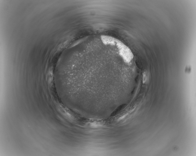 X0000090441011200708102022