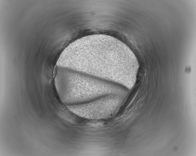 X0000090441012200708102022