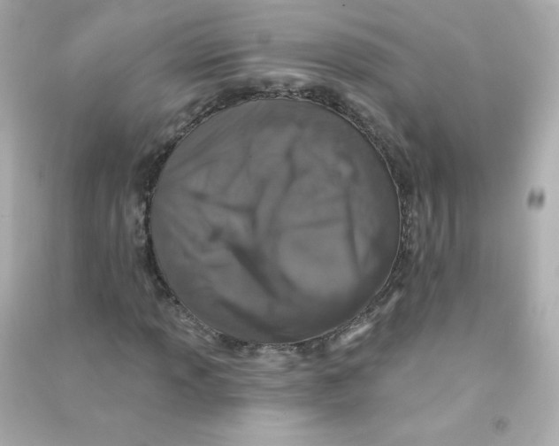 X0000090441013200708102022