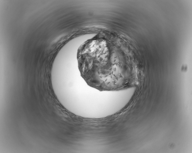 X0000090441014200708102022