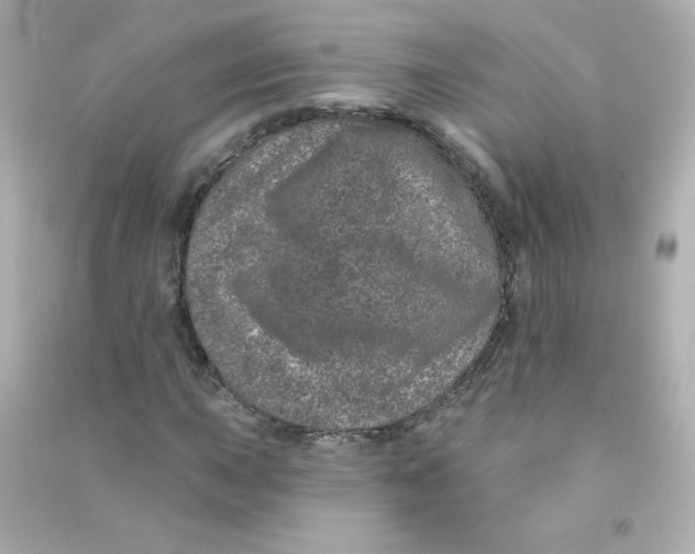 X0000090441015200708102023