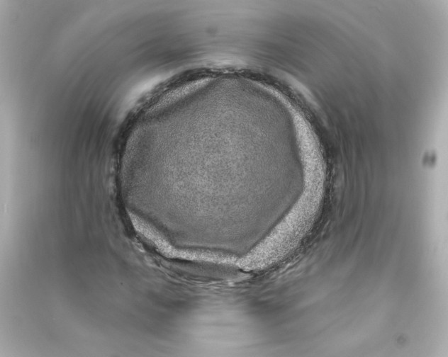 X0000090441016200708102023