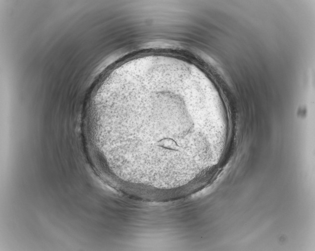 X0000090441017200708102023