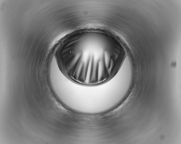 X0000090441018200708102023