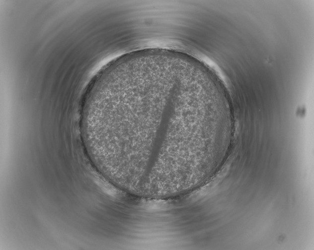 X0000090441019200708102023