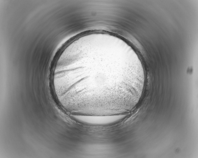X0000090441020200708102023
