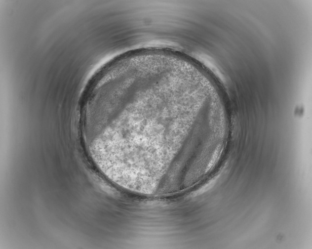 X0000090441021200708102023