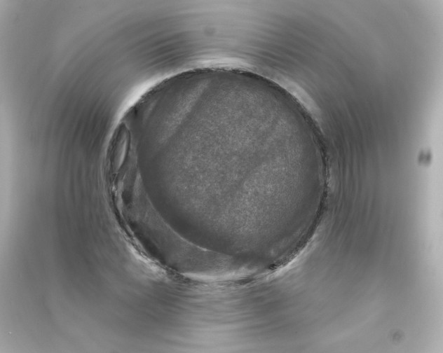 X0000090441022200708102023