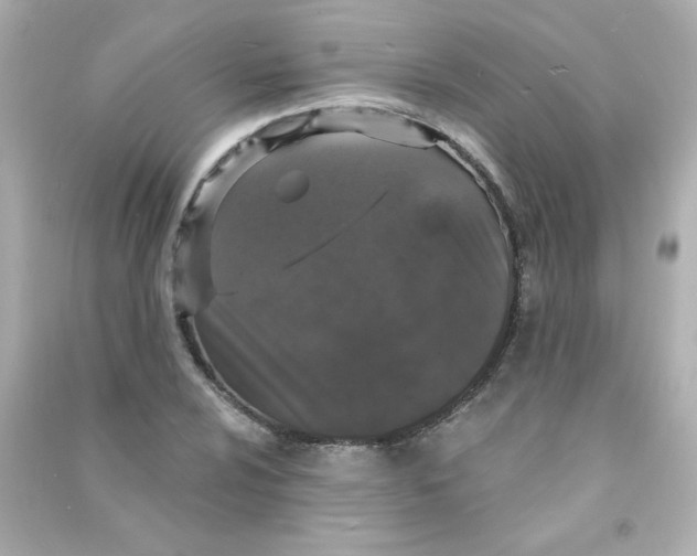 X0000090441024200708102023
