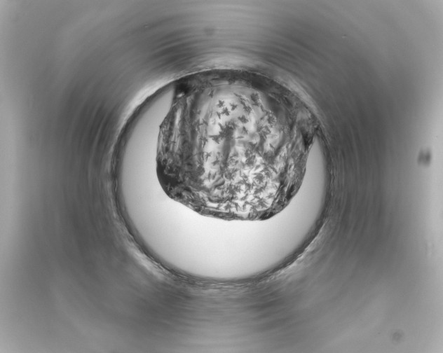 X0000090441026200708102023