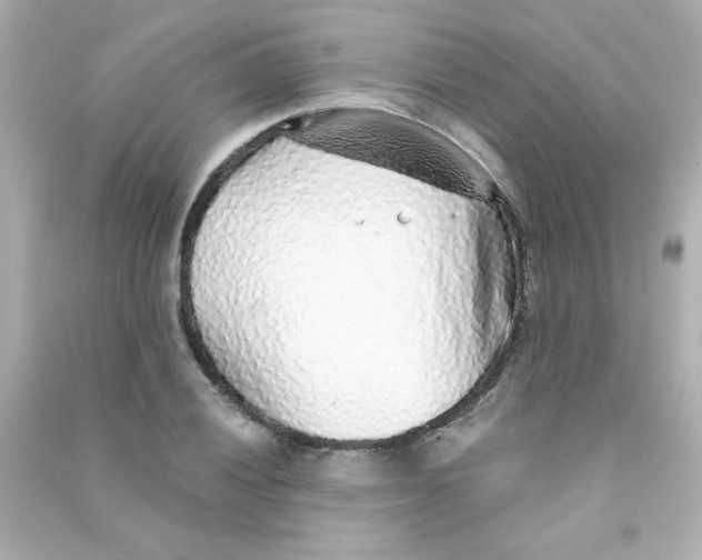 X0000090441028200708102023